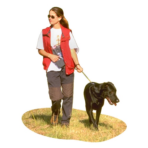 walk the dog in verbal behavior  category